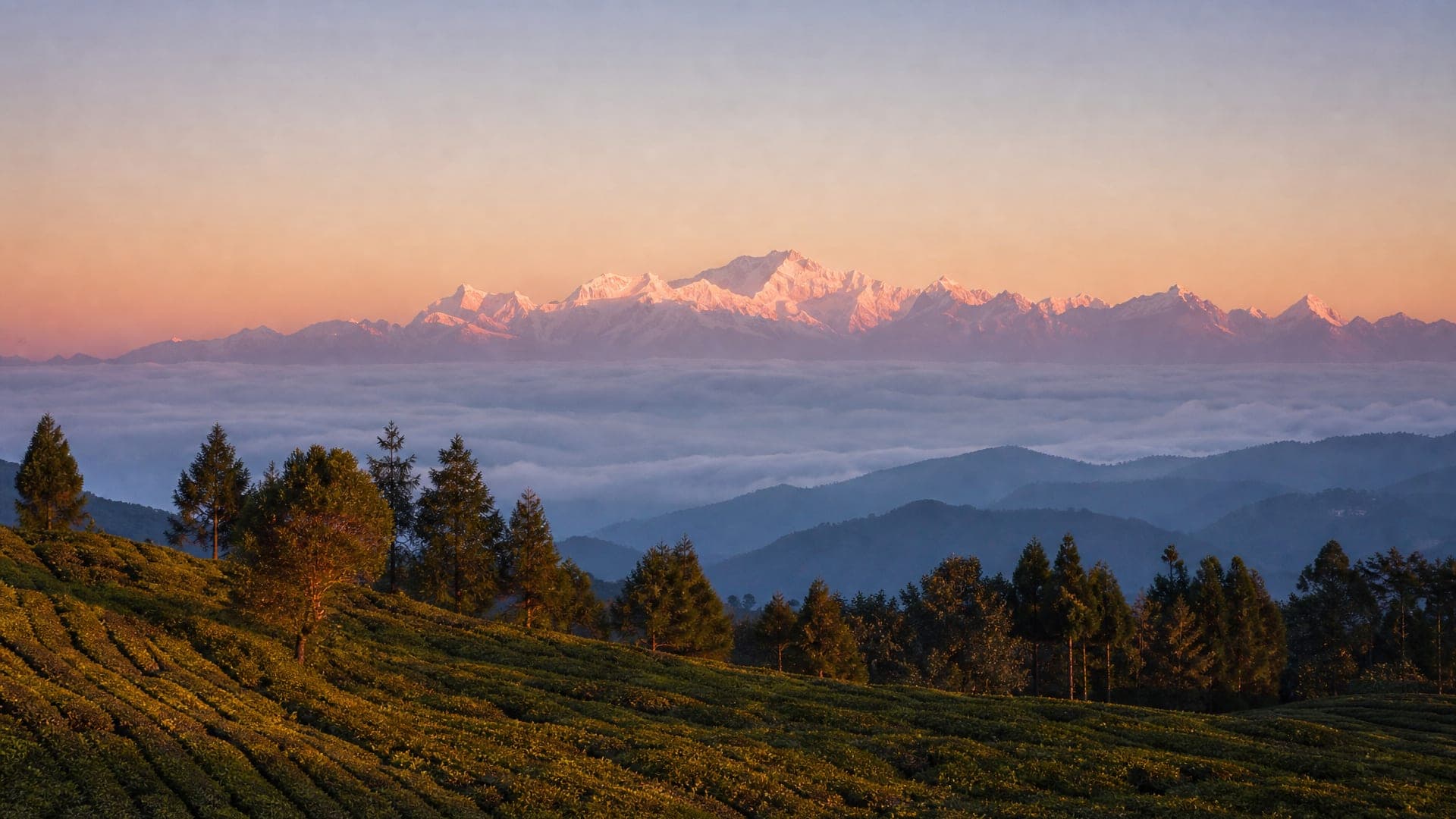 Sikkim & Darjeeling, Gangtok, Pelling & Darjeeling