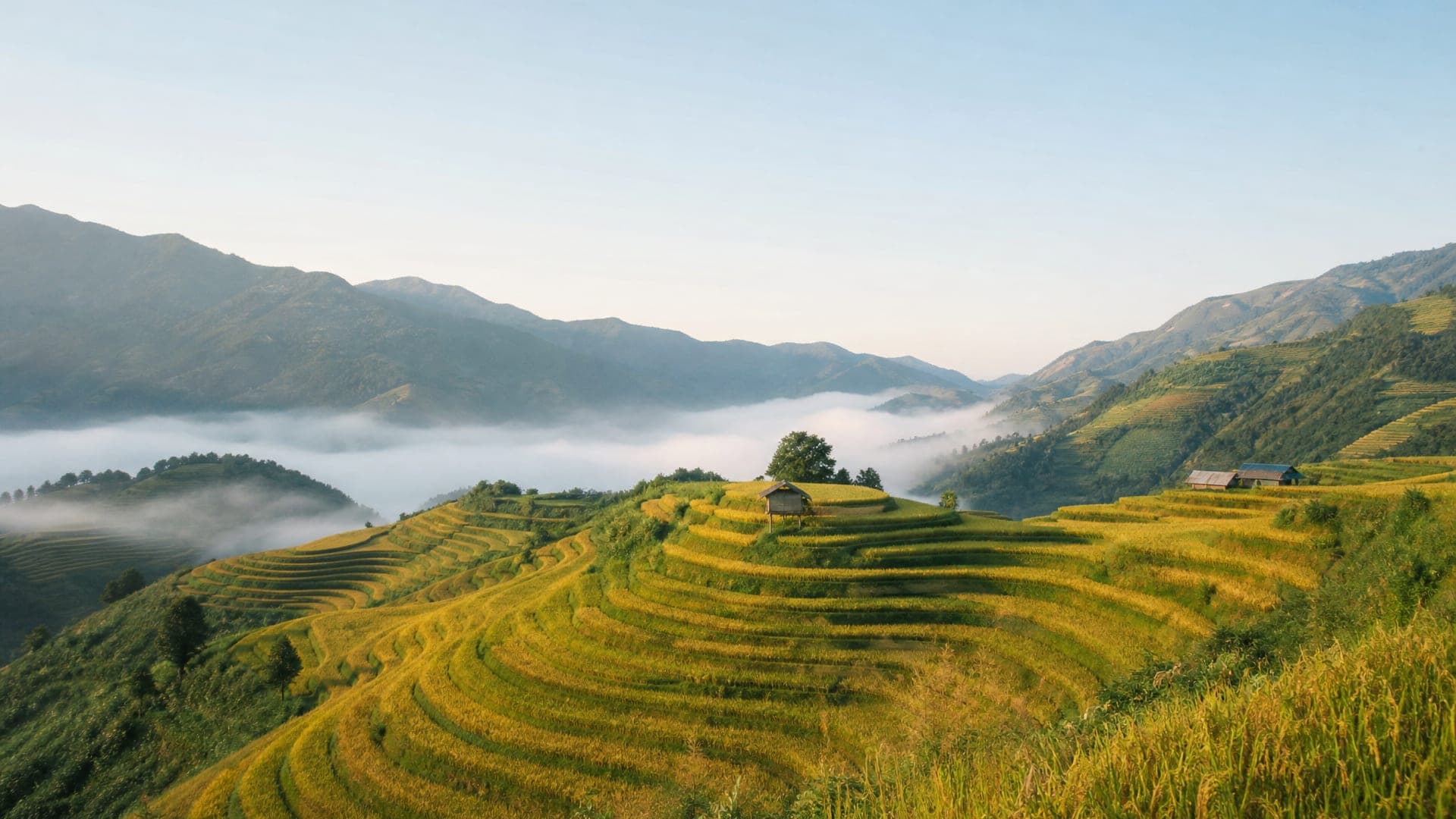 Vietnam, Hanoi, Ha Long & Sapa